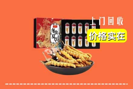 闸北区回收冬虫夏草