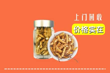 收购资讯:闸北区回收散虫草